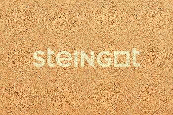 ��������� Steingot ��������� 320x160x80 �� "���������" (������� �������)
