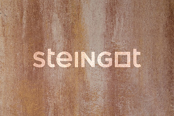 ���������� ������ Steingot ����� "����� ���� Safari �9"