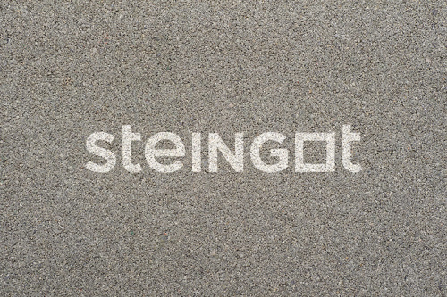��������� Steingot ������������� 200x100x60 �� ����� ������ �������