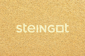 ���������� ������ Steingot ������ "Ƹ����" (������� �������)